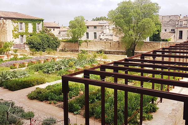 Les Jardins du Palais et le Verger Urbain V